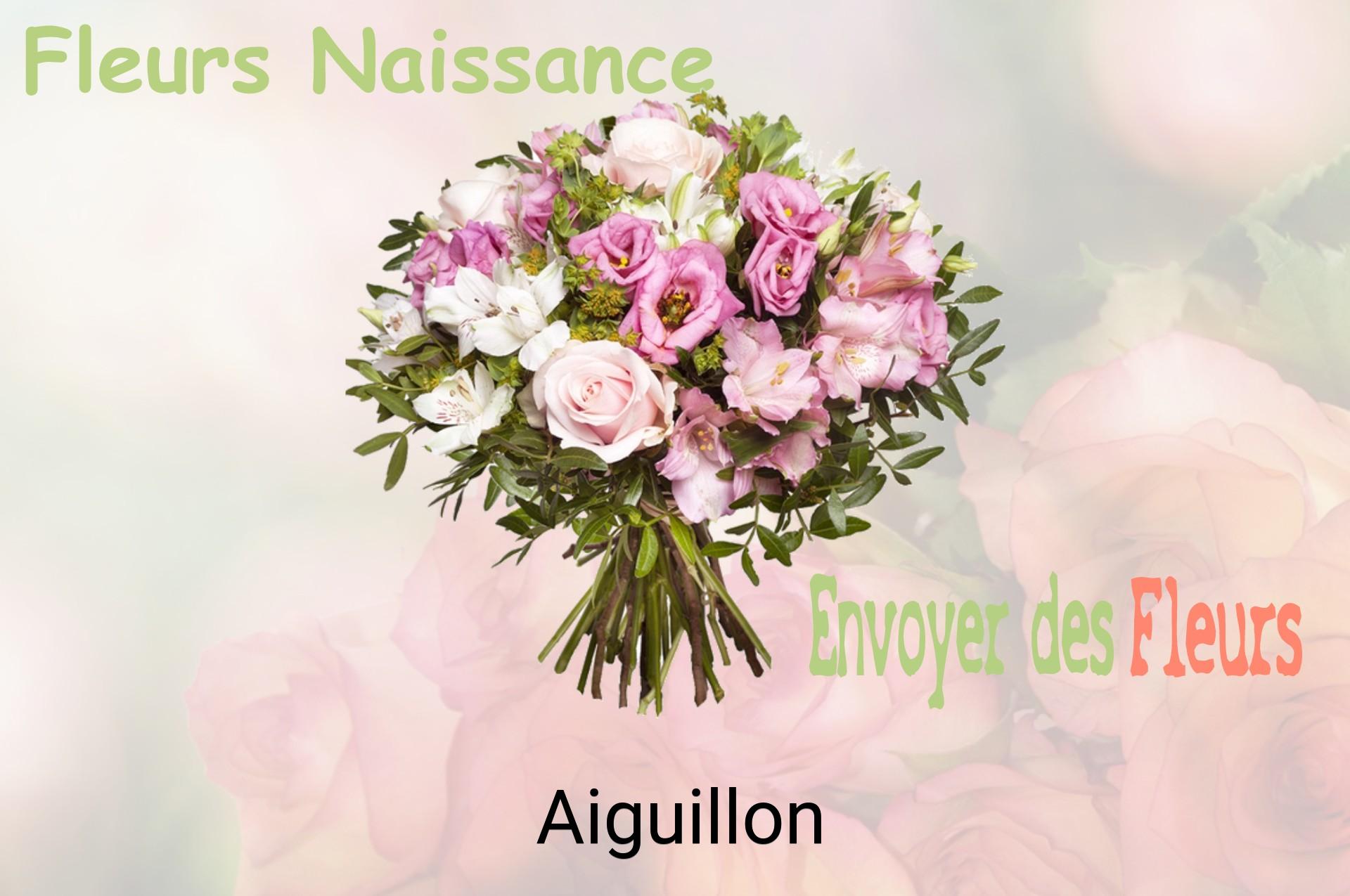 Bouquet de fleurs de naissance livré à Aiguillon