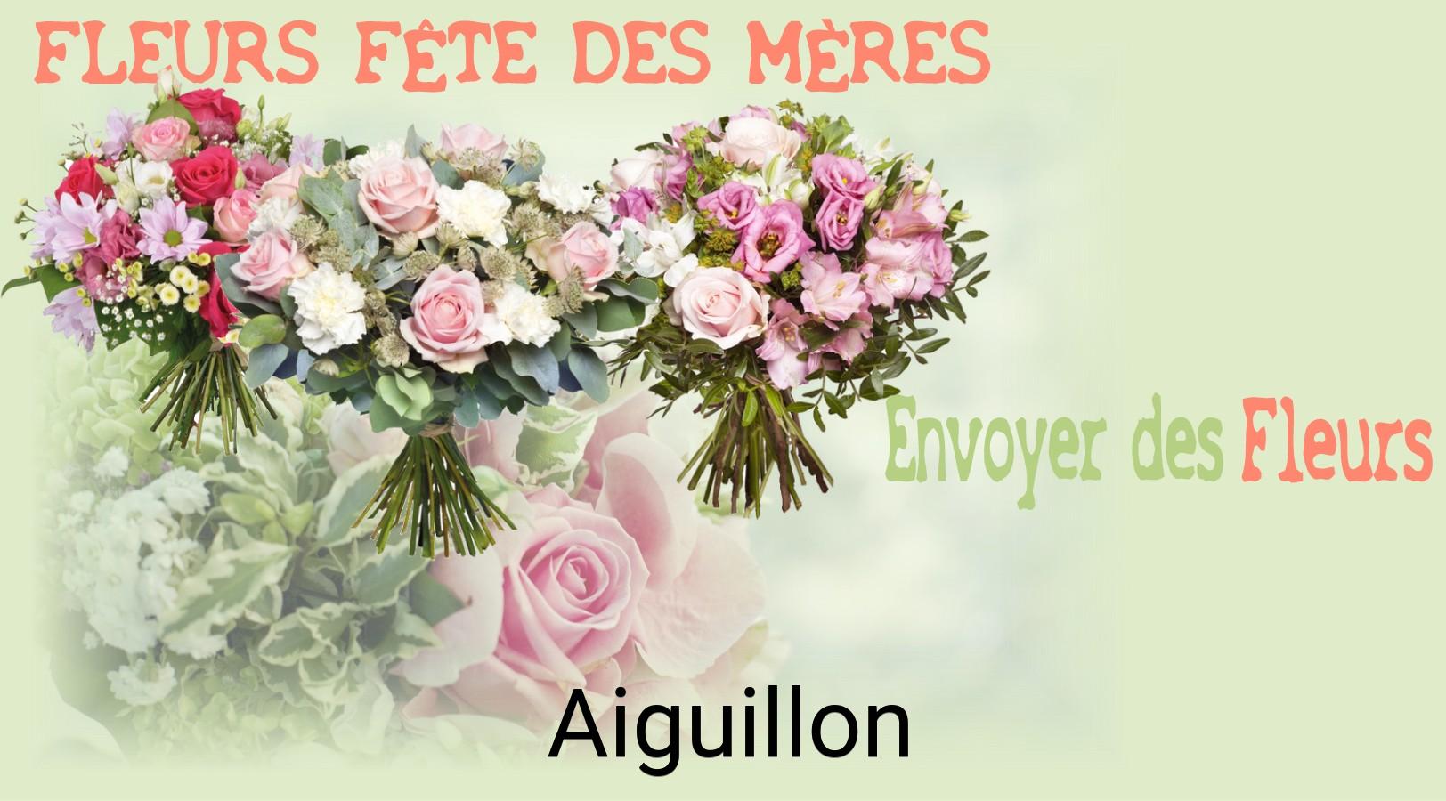 Bouquet de Fête des Mères livré à Aiguillon